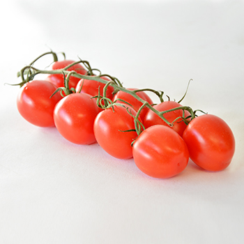 MINI ROMASTRAUCHTOMATEN KILO Romastrauchtomaten mini