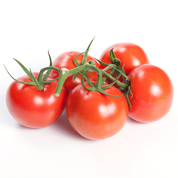 STRAUCHTOMATEN ROT Strauchtomaten