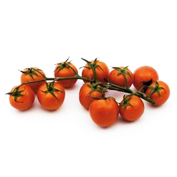 ZIERSTRAUCHTOMATEN MINI Zierstrauchtomaten mini