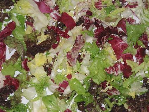 BLATTSALAT MONACO (72) 1KG In Streifen 65% Endivien, 15% Frisee, je 10% Lollo Rosso & Radicchio 30-35mm Blattsalat Monaco 1kg