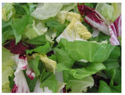 BLATTSALAT TANGO (33) 1KG In Streifen 50% Chinakohl, 20% Endivien, je 15% Eisberg & Radicchio Blattsalat Tango 1kg