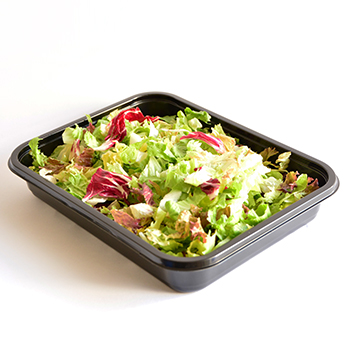 RÖMISCHER BLATTSALAT (72) 1KG Römischer Blattsalat 1kg