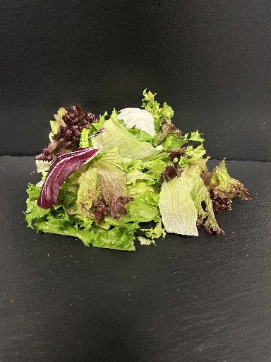 MISCHSALAT SHOW (72) 500G 50% Eisberg, je 10% Endivie, Radicchio, Frisee, Lollo Rosso und Bionda Mischsalat Show 500g