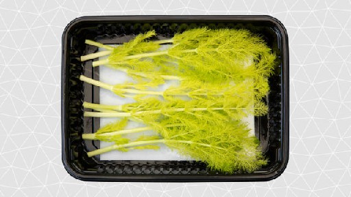 KOPPERT FEATHER TOPS 10ER SCHALE Koppert Feather Tops 10er Schale
