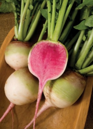 RETTICH RED MEAT KG Rettich Red Meat kg