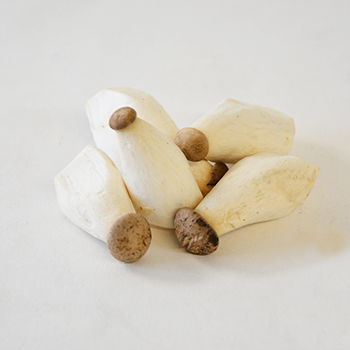MINI KRÄUTERSEITLINGE KG Kräuterseitlinge mini kg