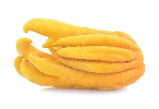 Buddhas Hand Stück