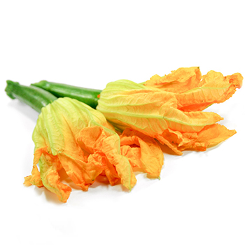 ZUCCHINIBLÜTEN STÜCK Zucchiniblüten 