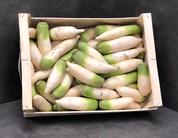Rettich Green Meat KG